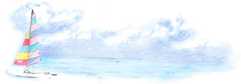 beach_banner_l_2.gif