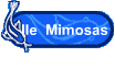 Ile  Mimosas